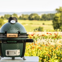 img Webversion-big-green-egg-mini02